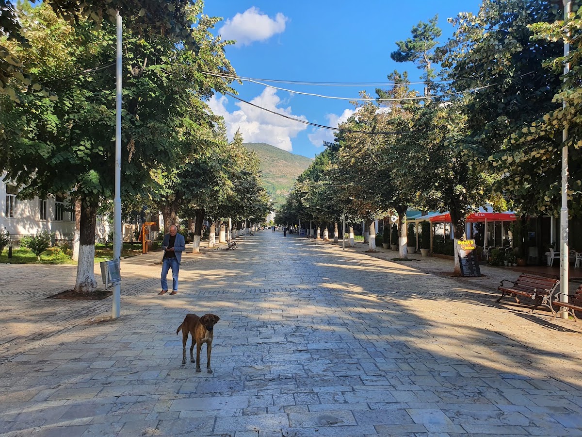"Elez Isufi" Boulevard – Peshkopi