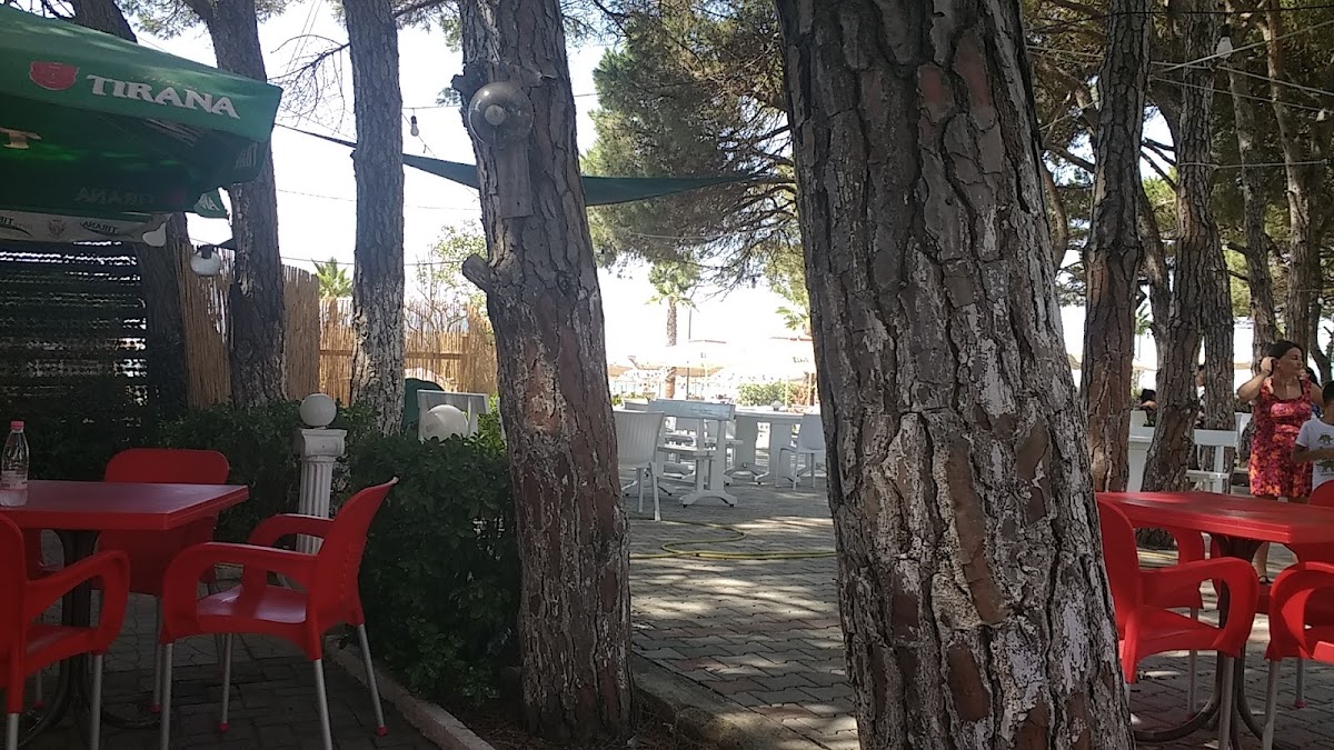 Murrizi Cafe photo 4
