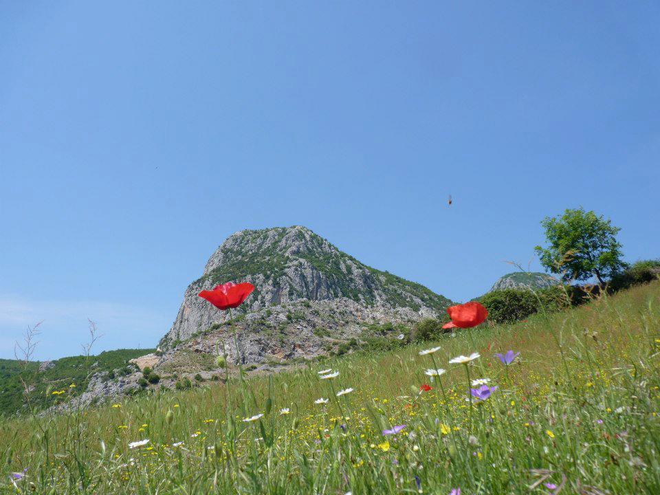 Guri i Borjes Mirake photo 4