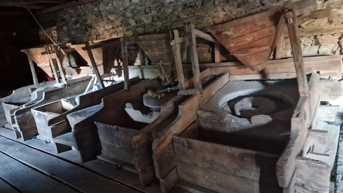 Bifurkacioni i lumit Nerodime photo 2