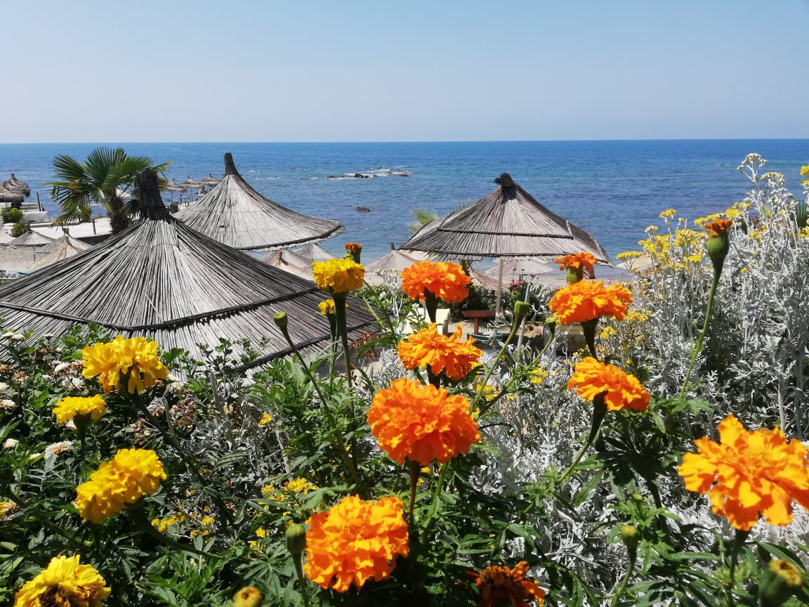 Kallmi i Bukur photo 3