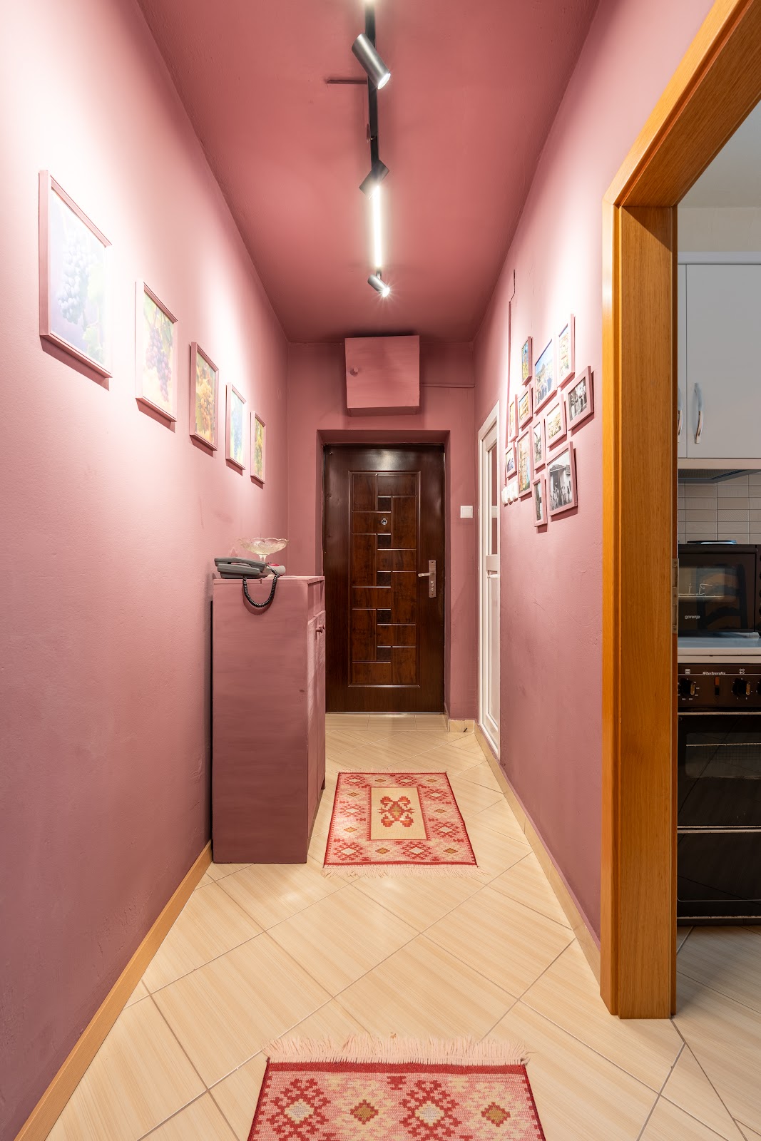 Grape Apartment Studio — Hotele & Akomodim në Rahovec — photo 4