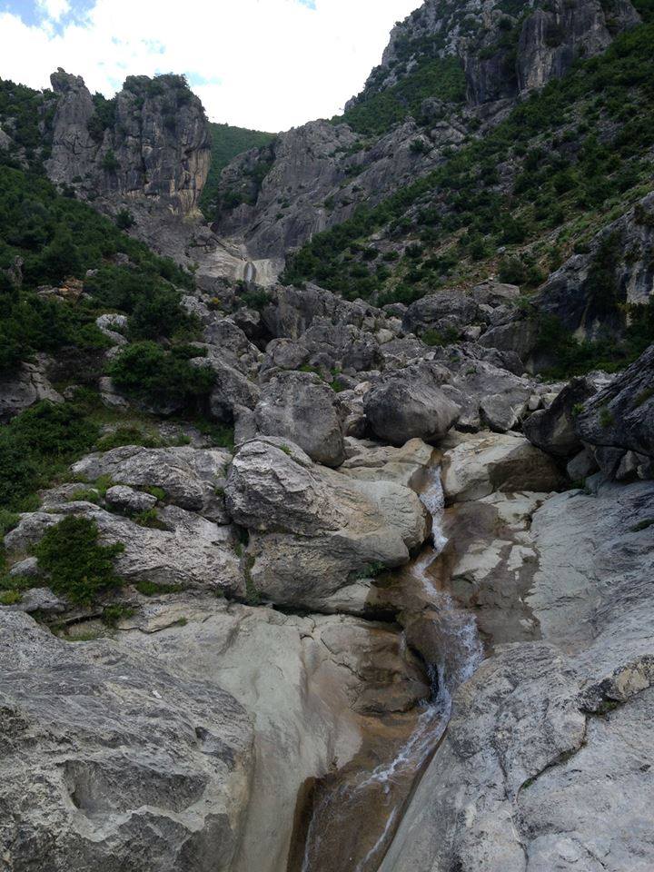 The Long Stone photo 2