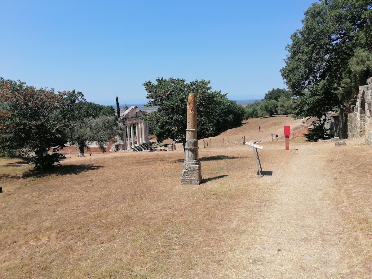 Temenos photo 4