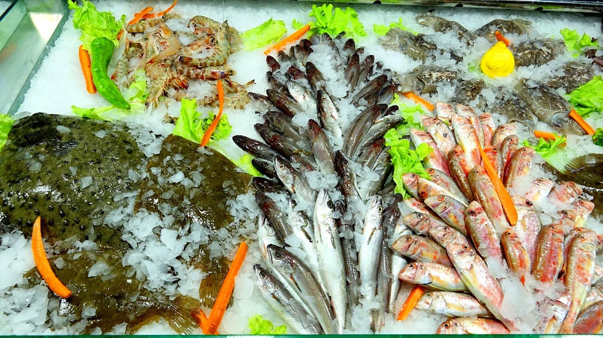 Rozafa - Fish City photo 2