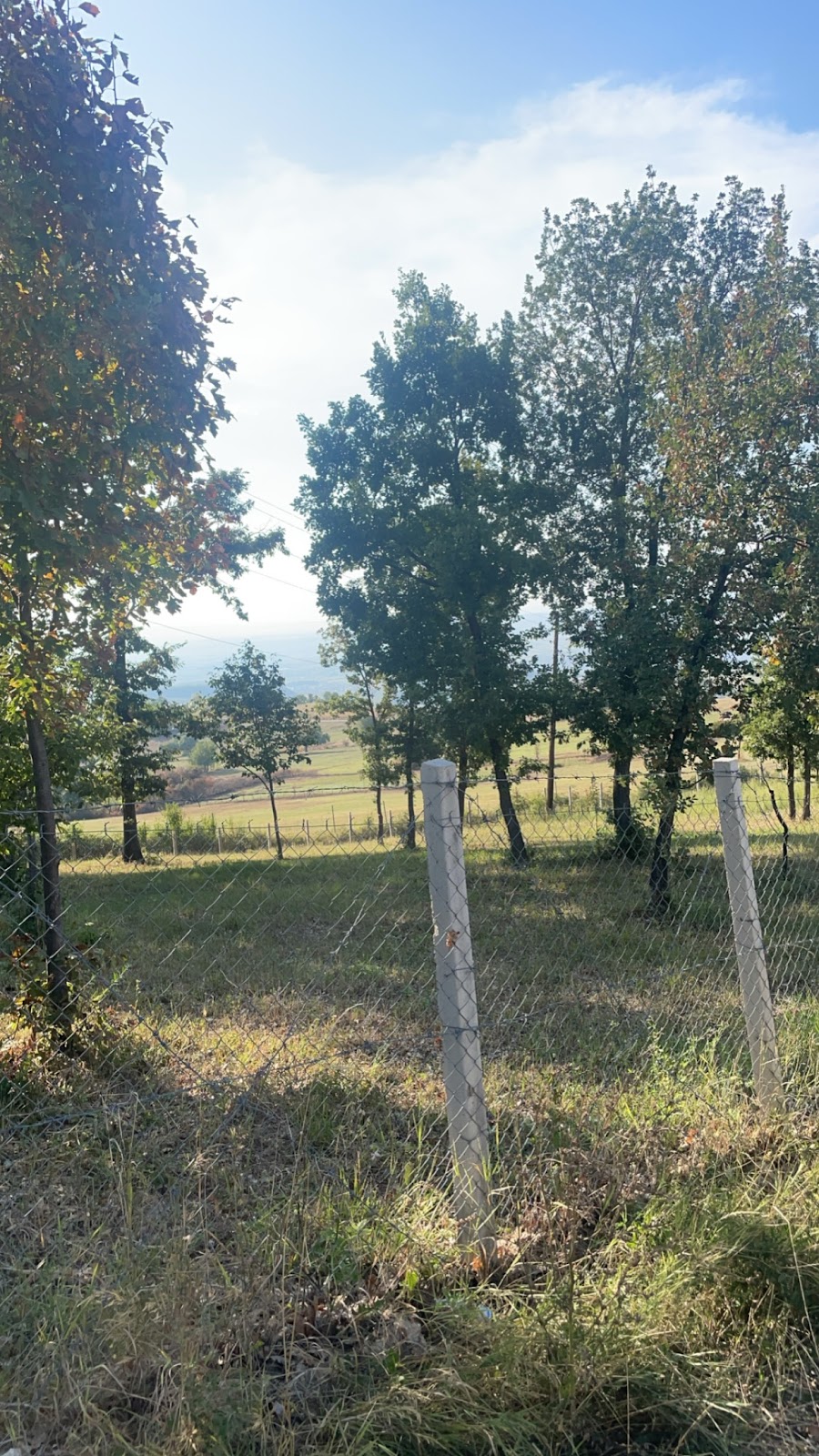 Fshati Kolishtë photo 4