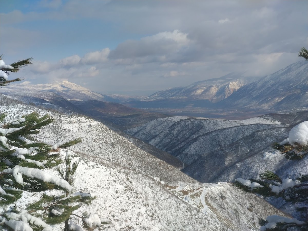 Limi ademi photo 4