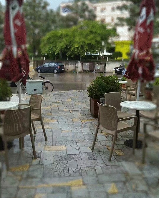 bar Roi photo 3