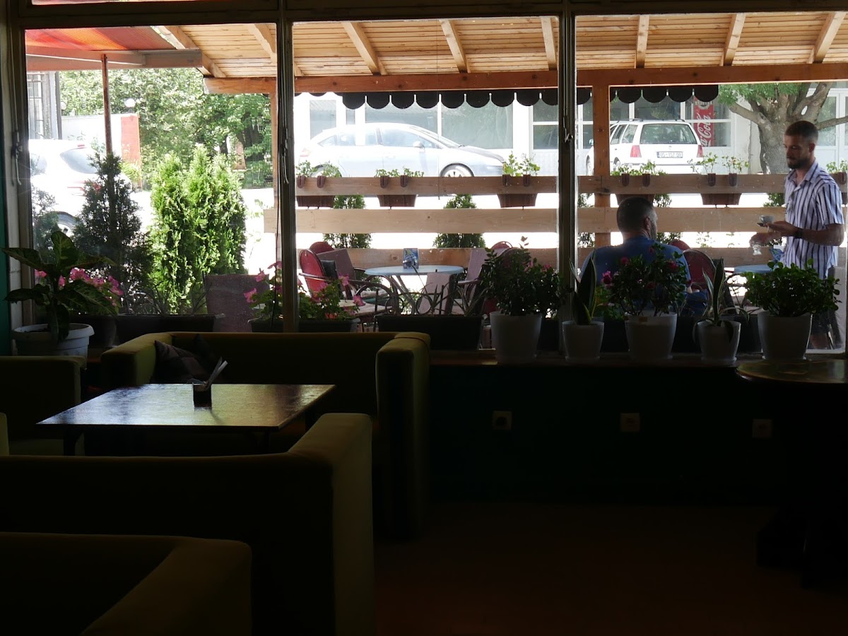 Caffe Cani photo 4