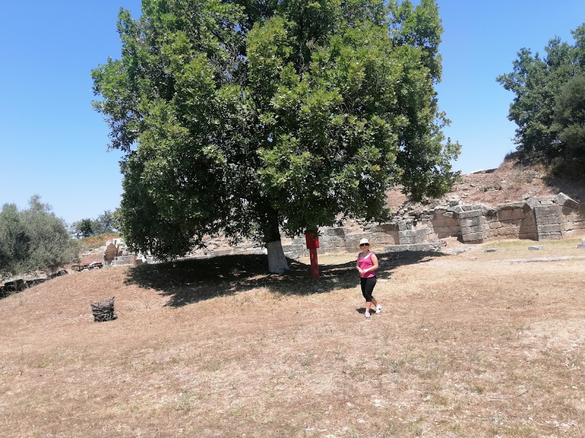 Stoa B photo 4