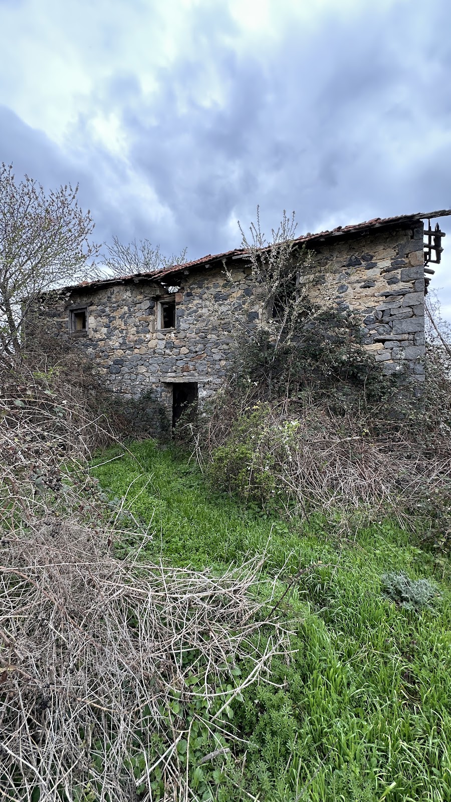 Cerrnusha Hymnore — Atraksione në Vushtrri — photo 4