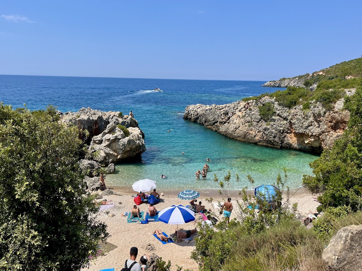 Aquarium Beach