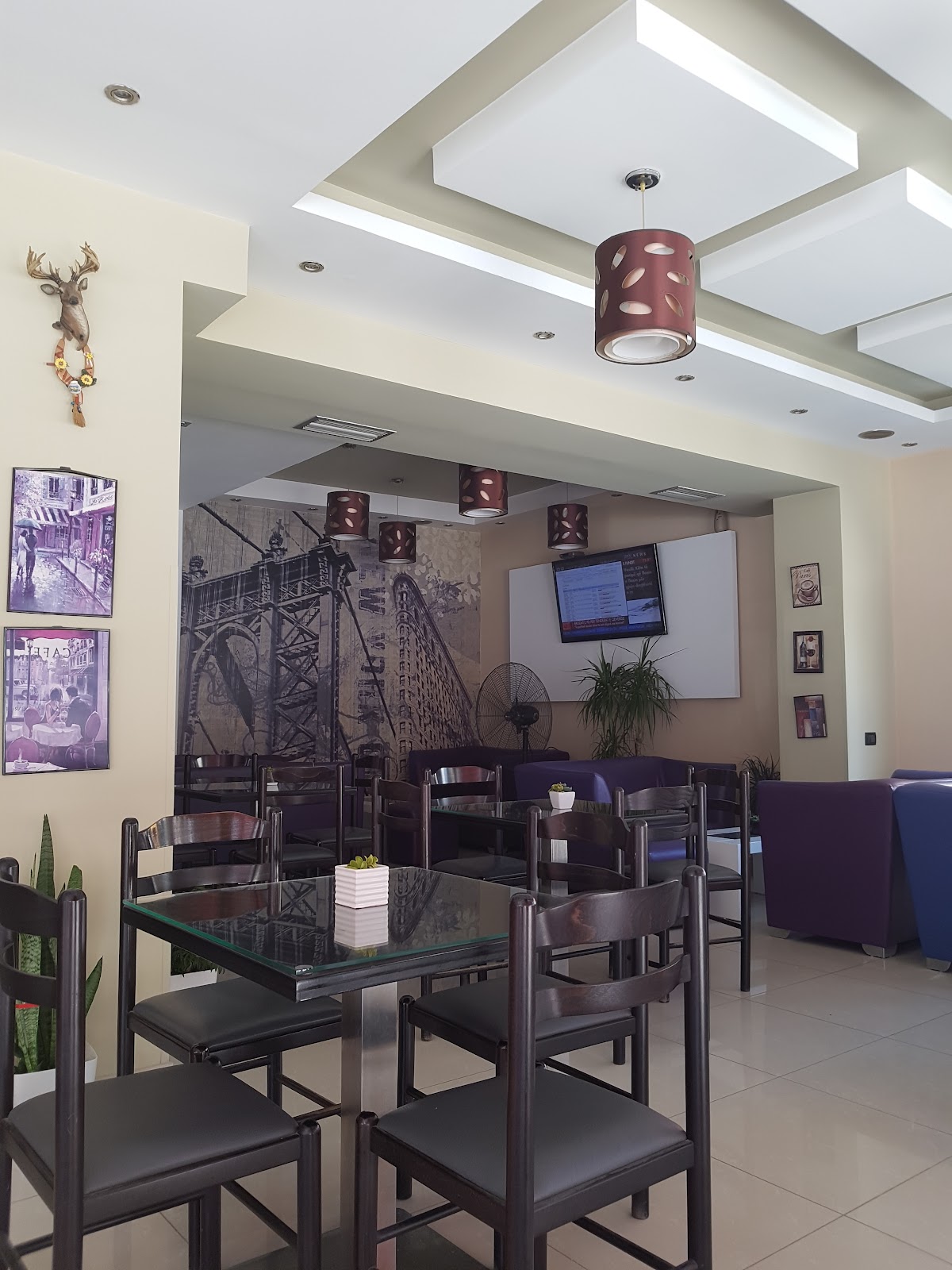 Bar Jani Romantika photo 2