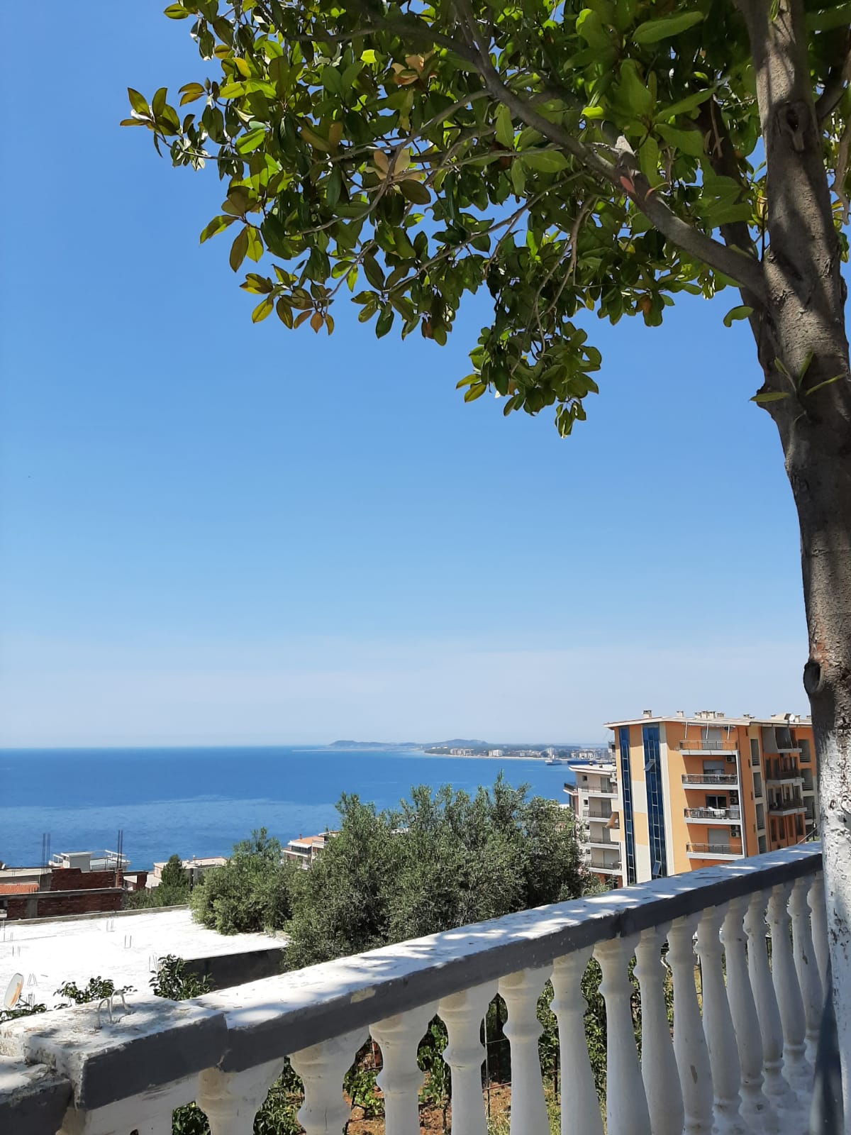 Blue Orchidea Hotel