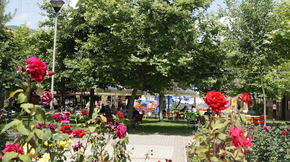 Plazhi I Uçkave photo 4