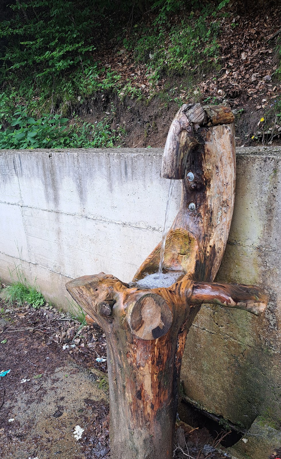 Mollopolc Waterfall photo 4