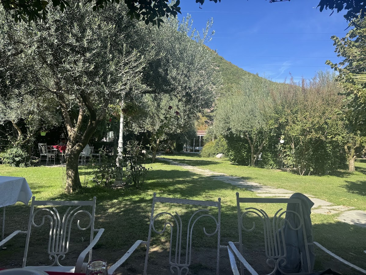Baçe Mbret Bar & Restaurant photo 3