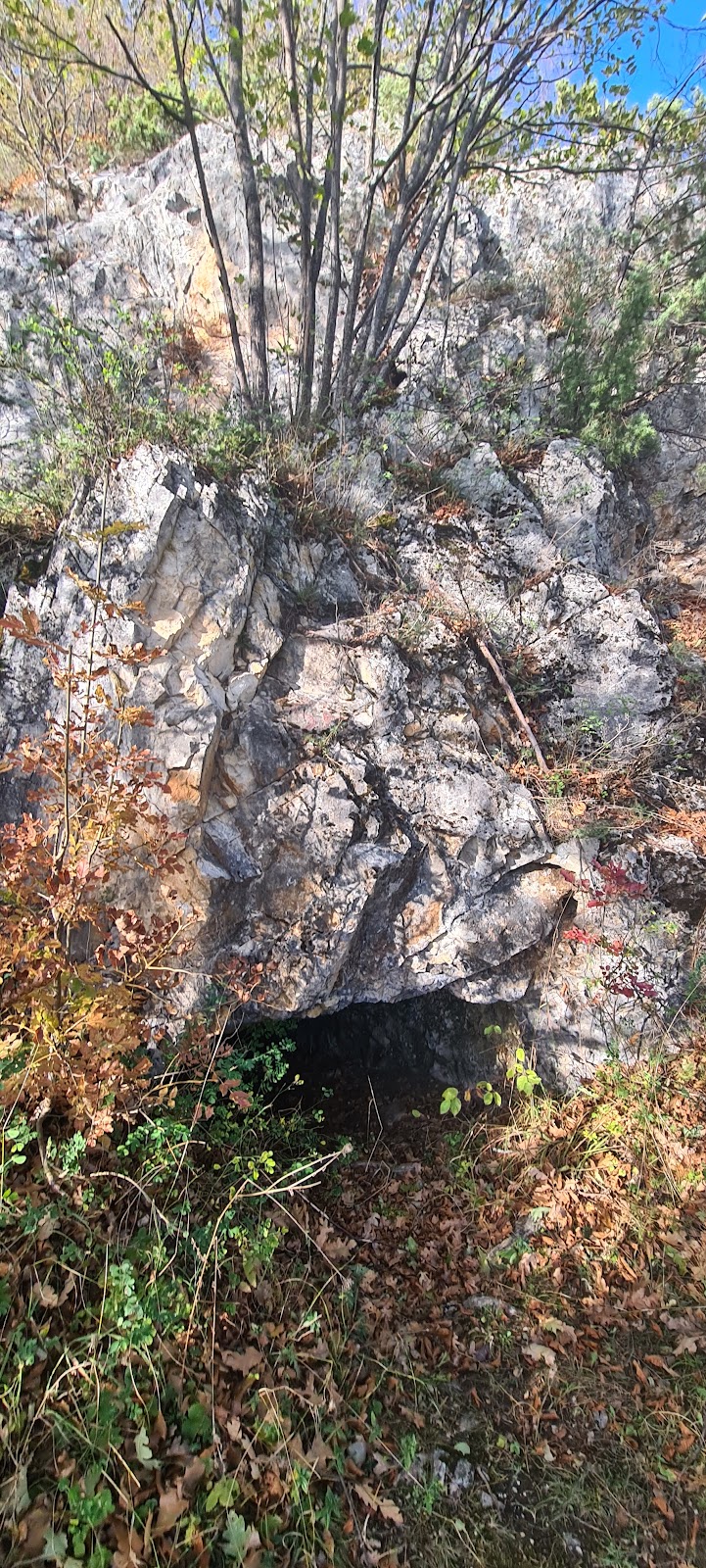 Shpella e Burrnikut photo 3