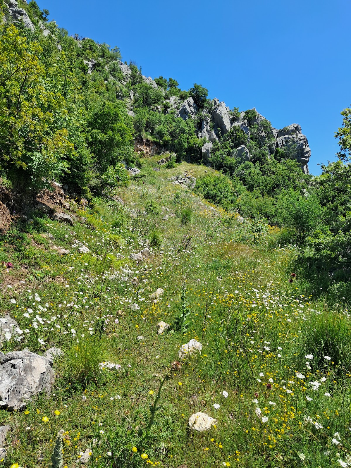 Guri i Borjes Mirake photo 5