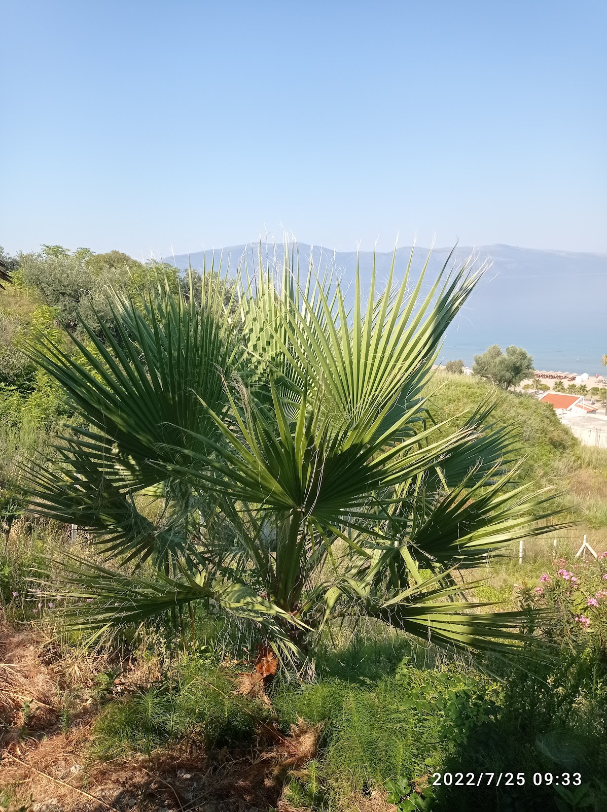 Monter carlo photo 4