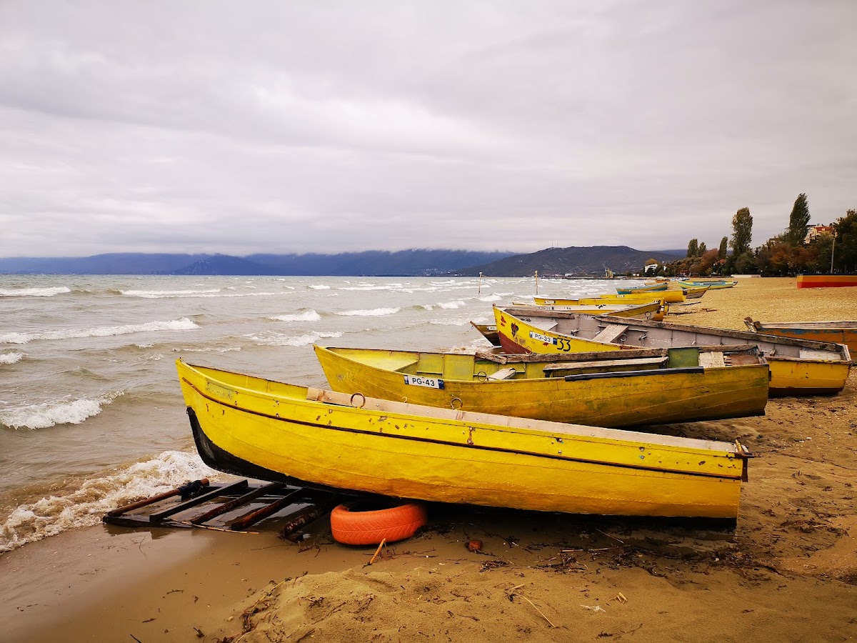 Beach photo 5