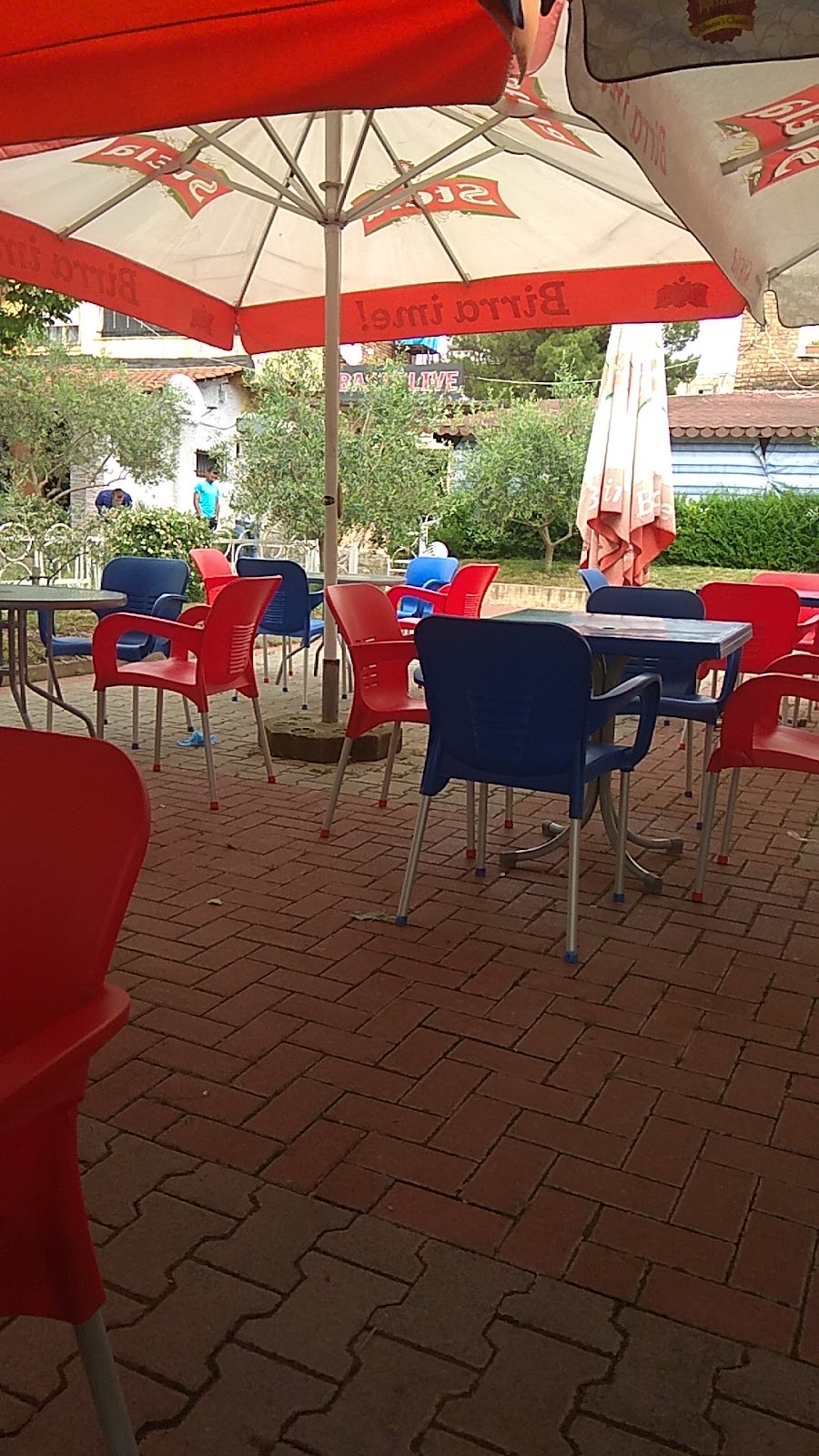 Bar Kafe Dragobia photo 2