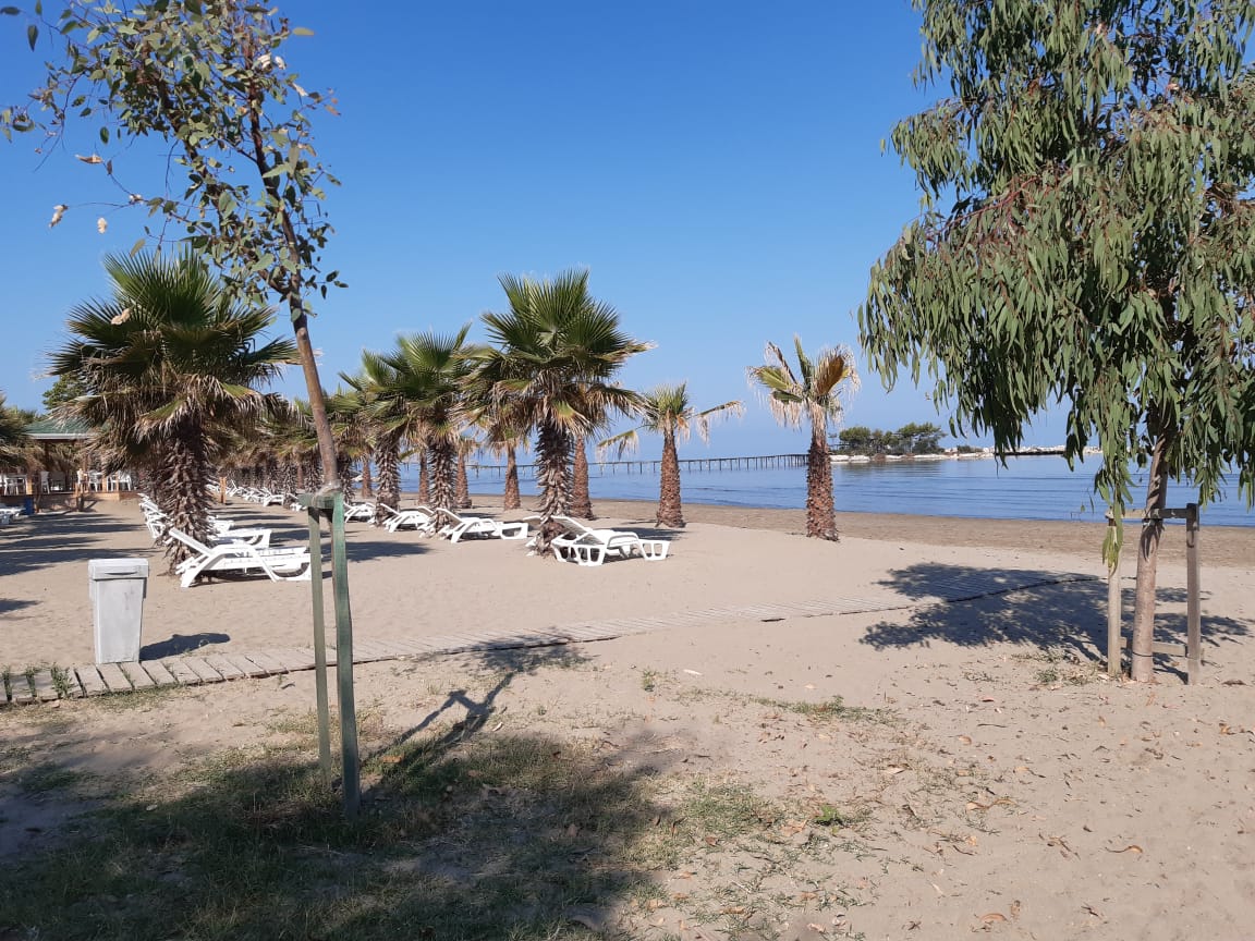 Plazhi Karpen photo 3