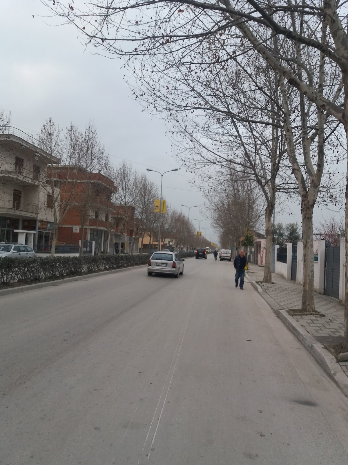 Bar Hotel Bledari photo 4