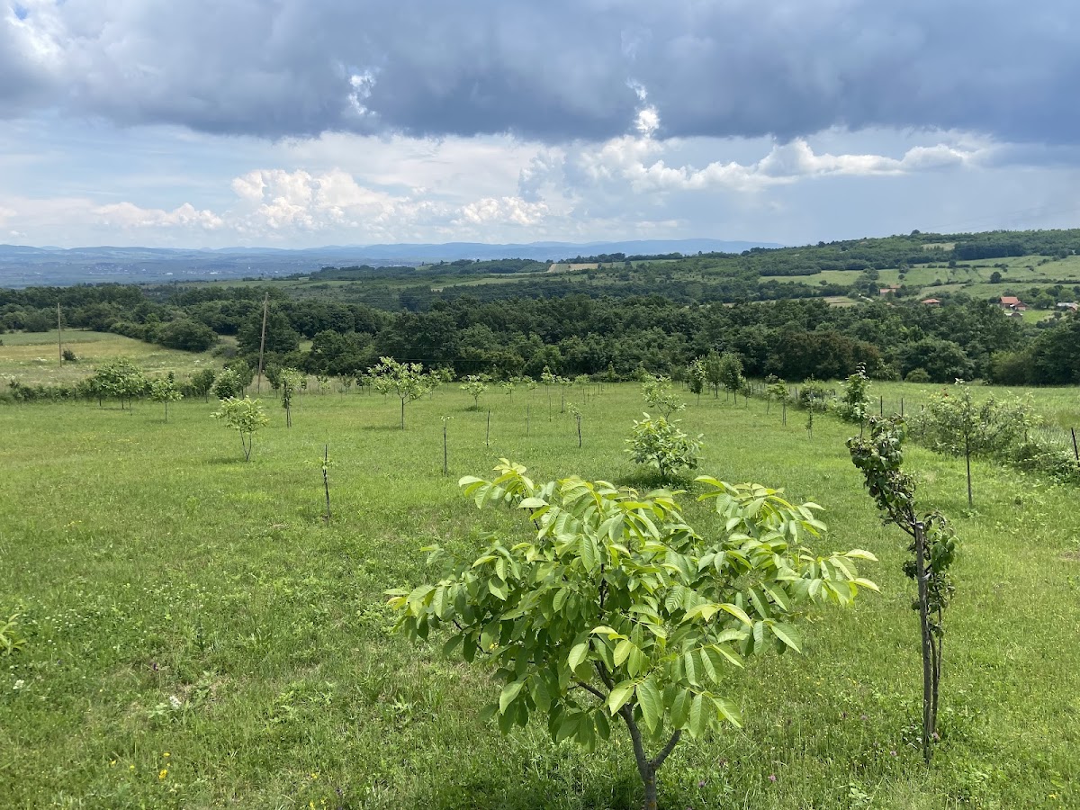 Shallc — Atraksione në Vushtrri — photo 4