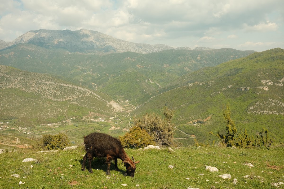 Peak of Skanderbeg’s Tomb photo 4