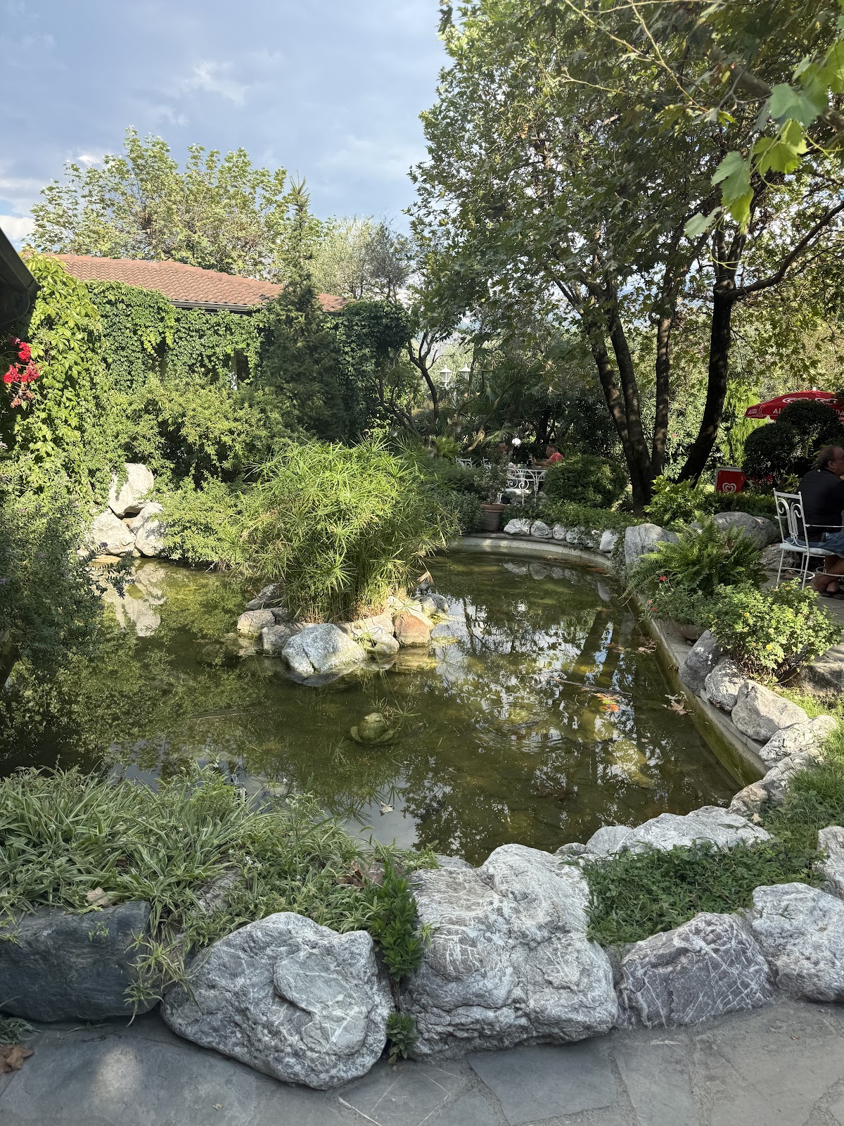 Baçe Mbret Bar & Restaurant photo 4