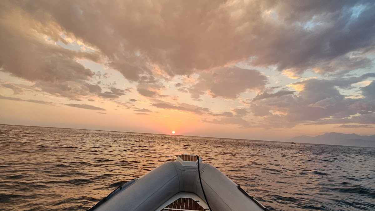 Rexhina Boat Tours