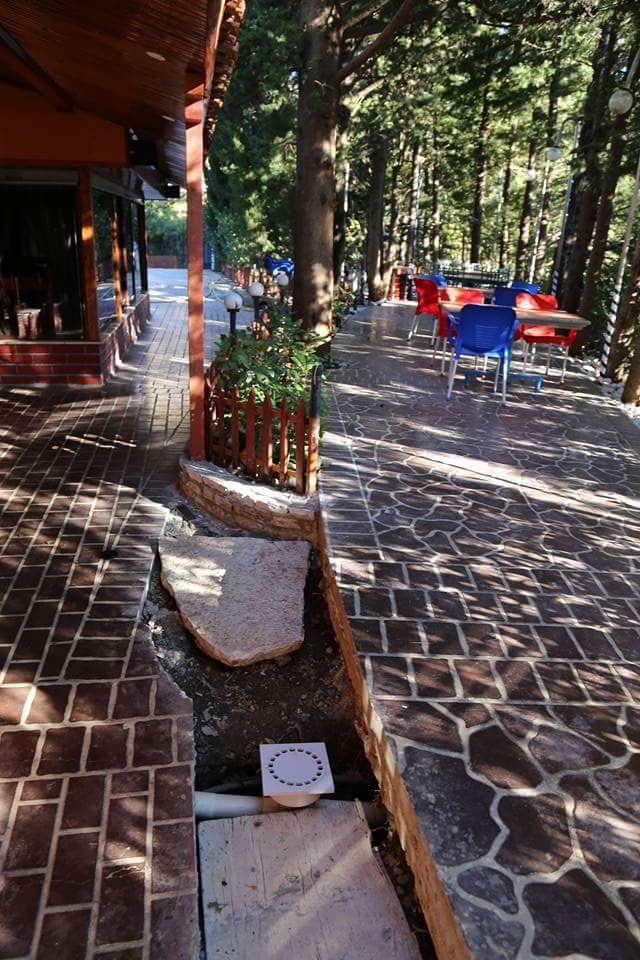 Bar Caffe Armando photo 3