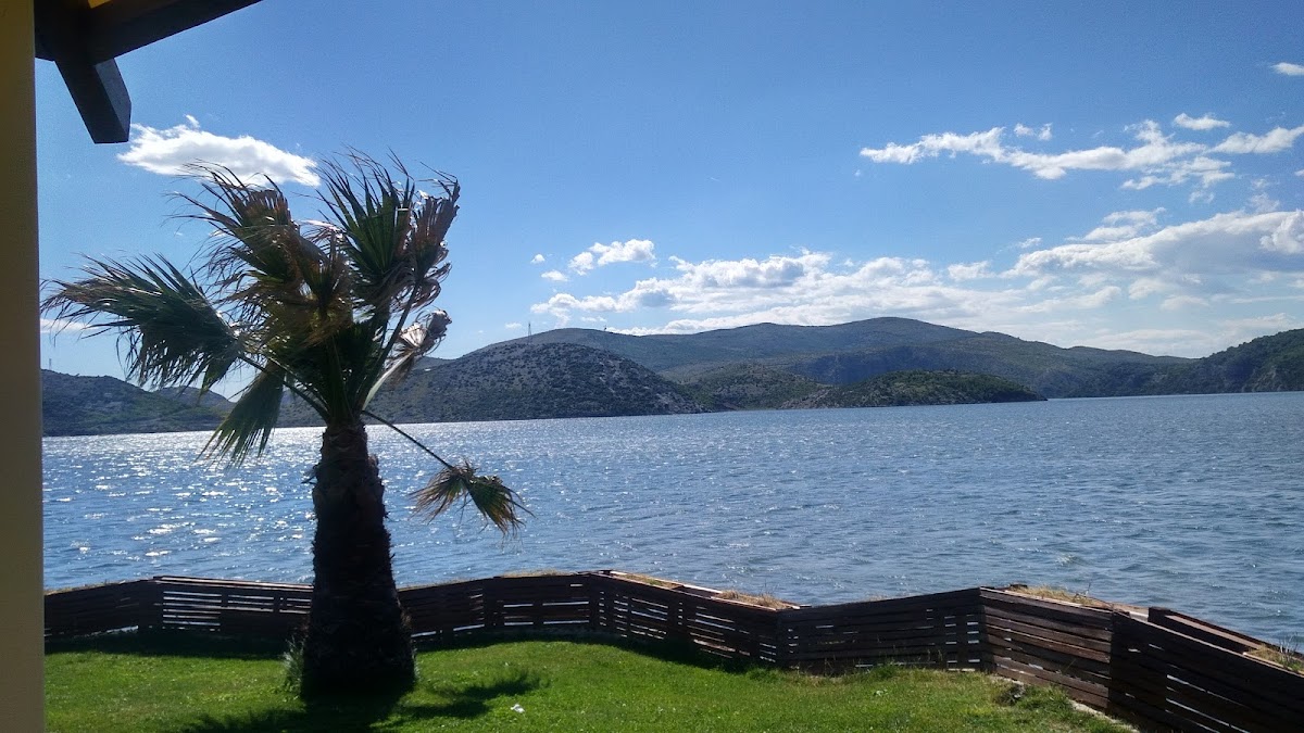 Plazhi Qafa Gurit photo 2