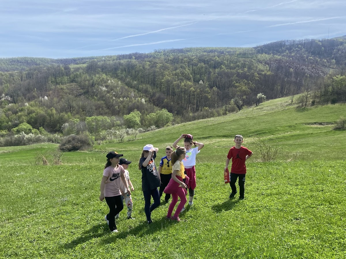 Shallc — Atraksione në Vushtrri — photo 4