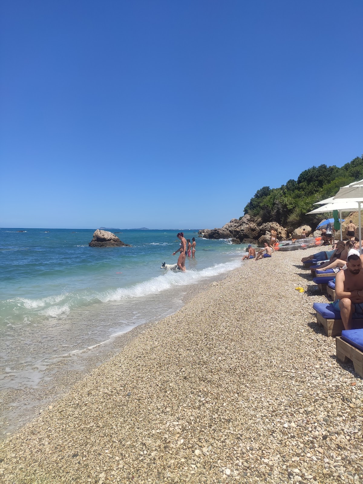Wild beach photo 4