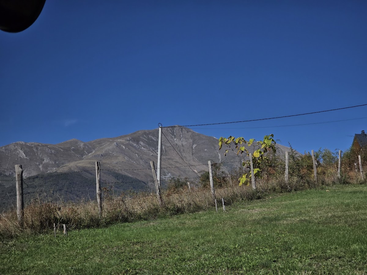 Villa Arra photo 5