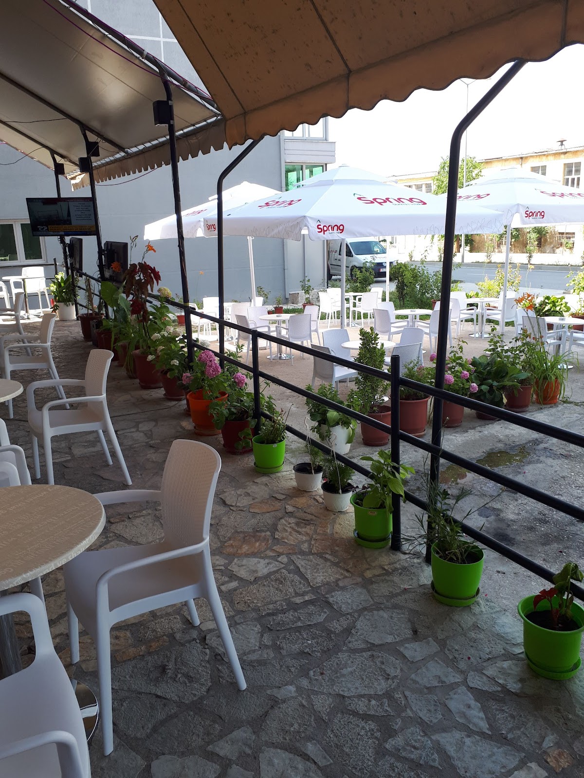 BAR - CAFE 31