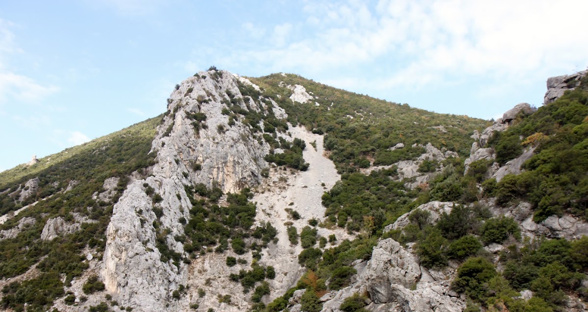 The Long Stone photo 4
