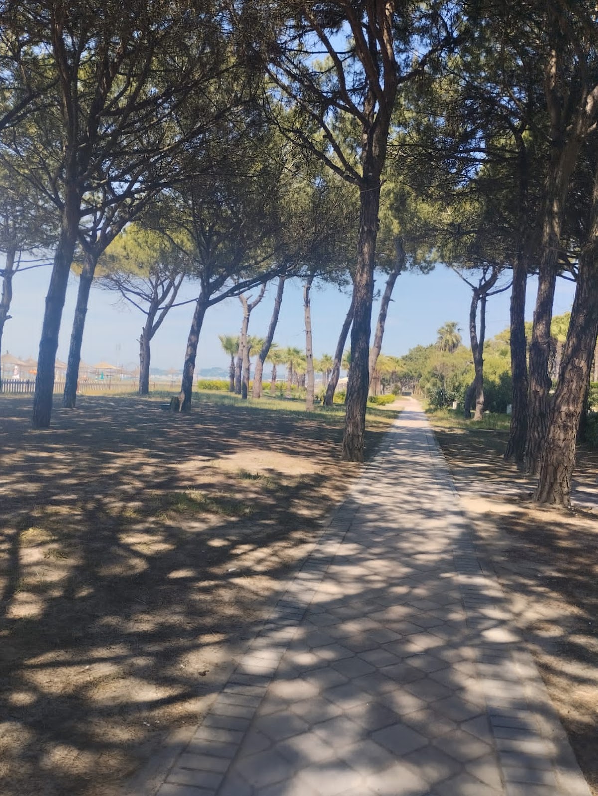 Qerret Beach — Plazhe në Kavajë — photo 2