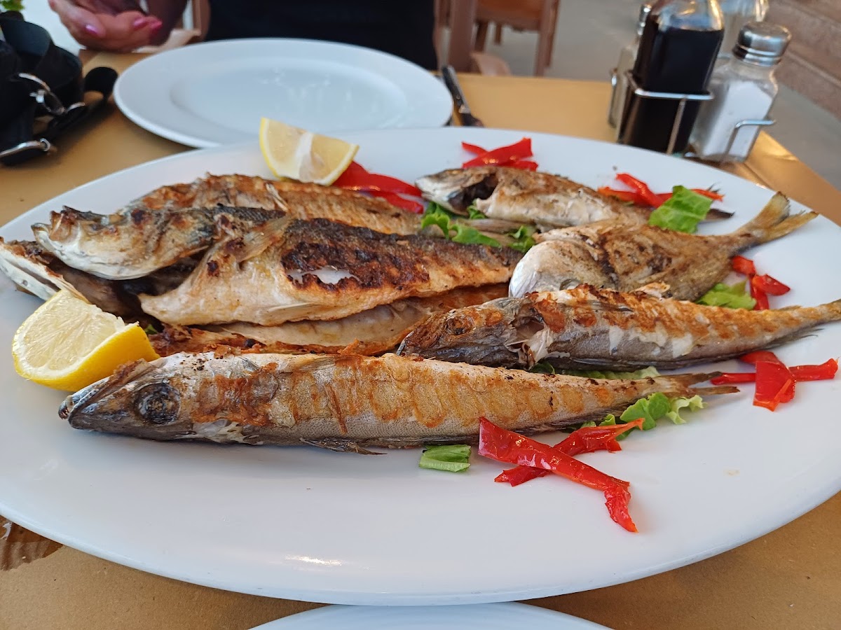 Piceri Restorant Cekodhima photo 4