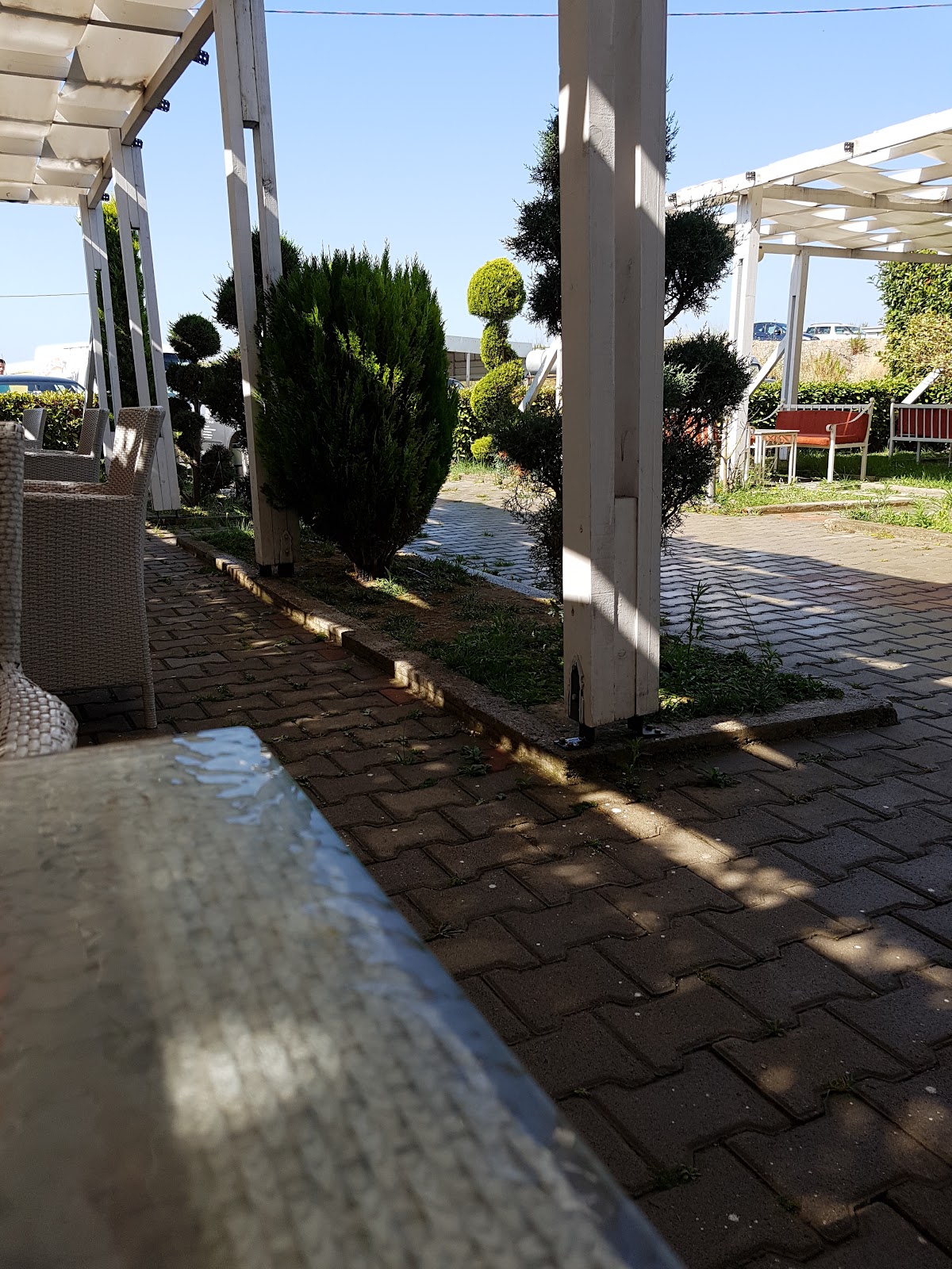 Bar-Cafe Daku photo 2