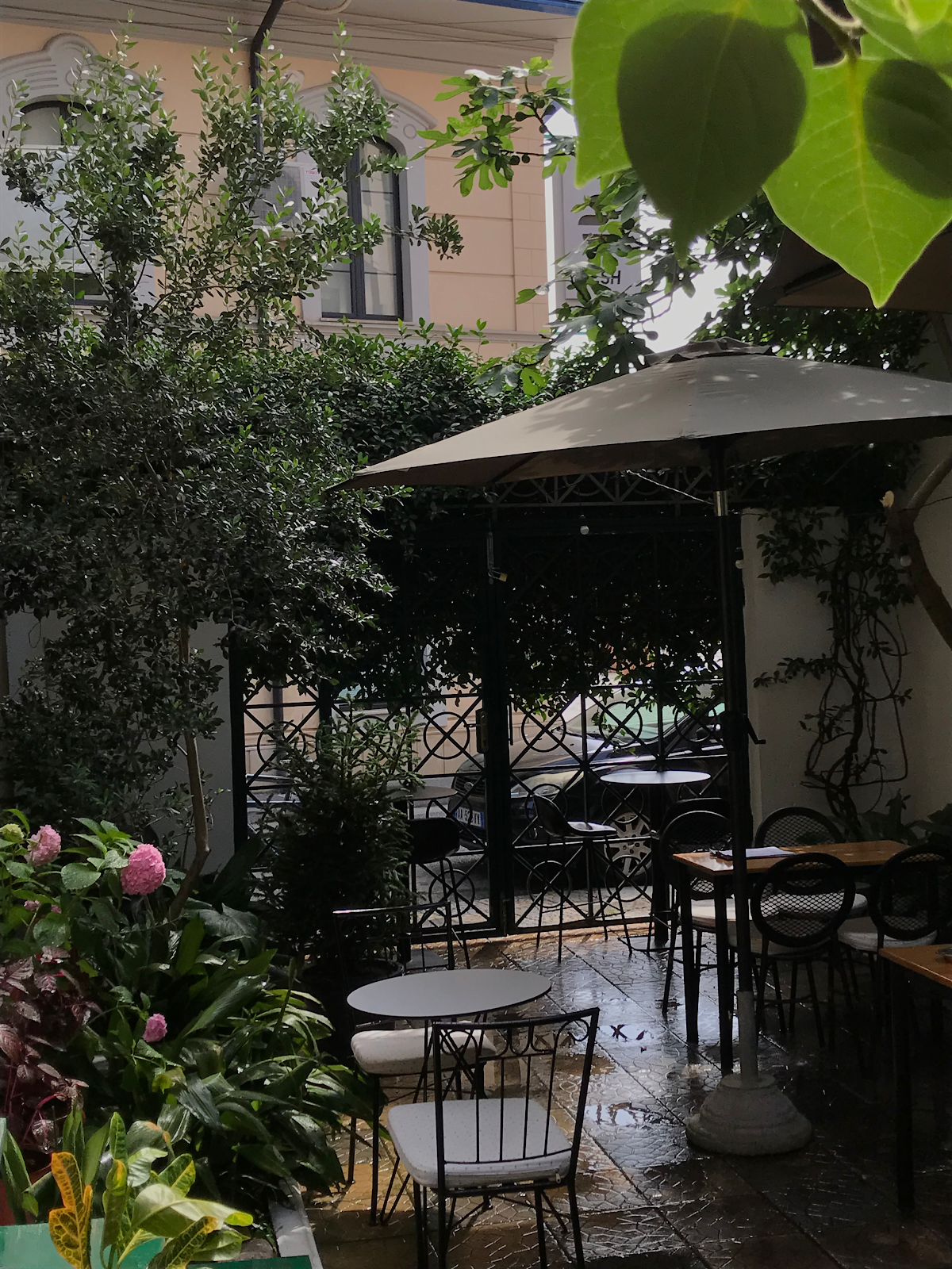 Stolia Coffeehouse & Brunch
