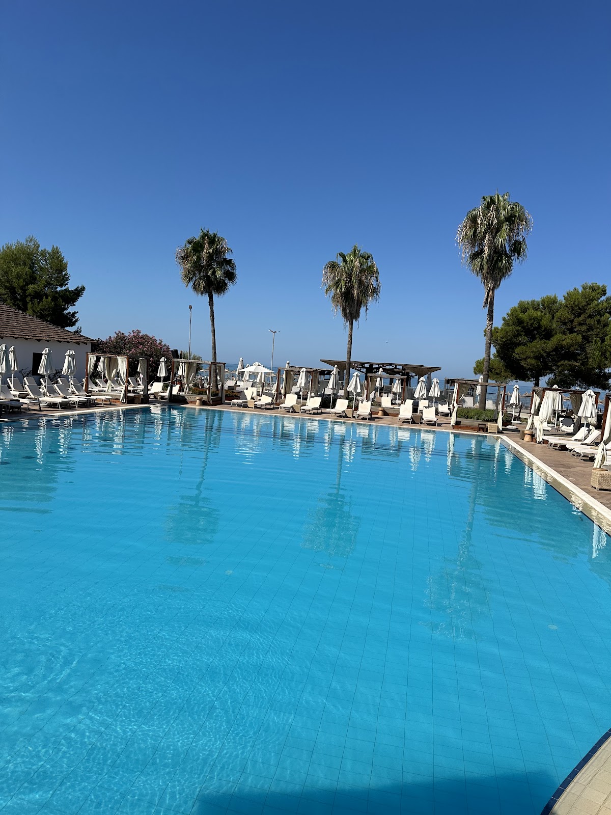 Tropikal Resort photo 3