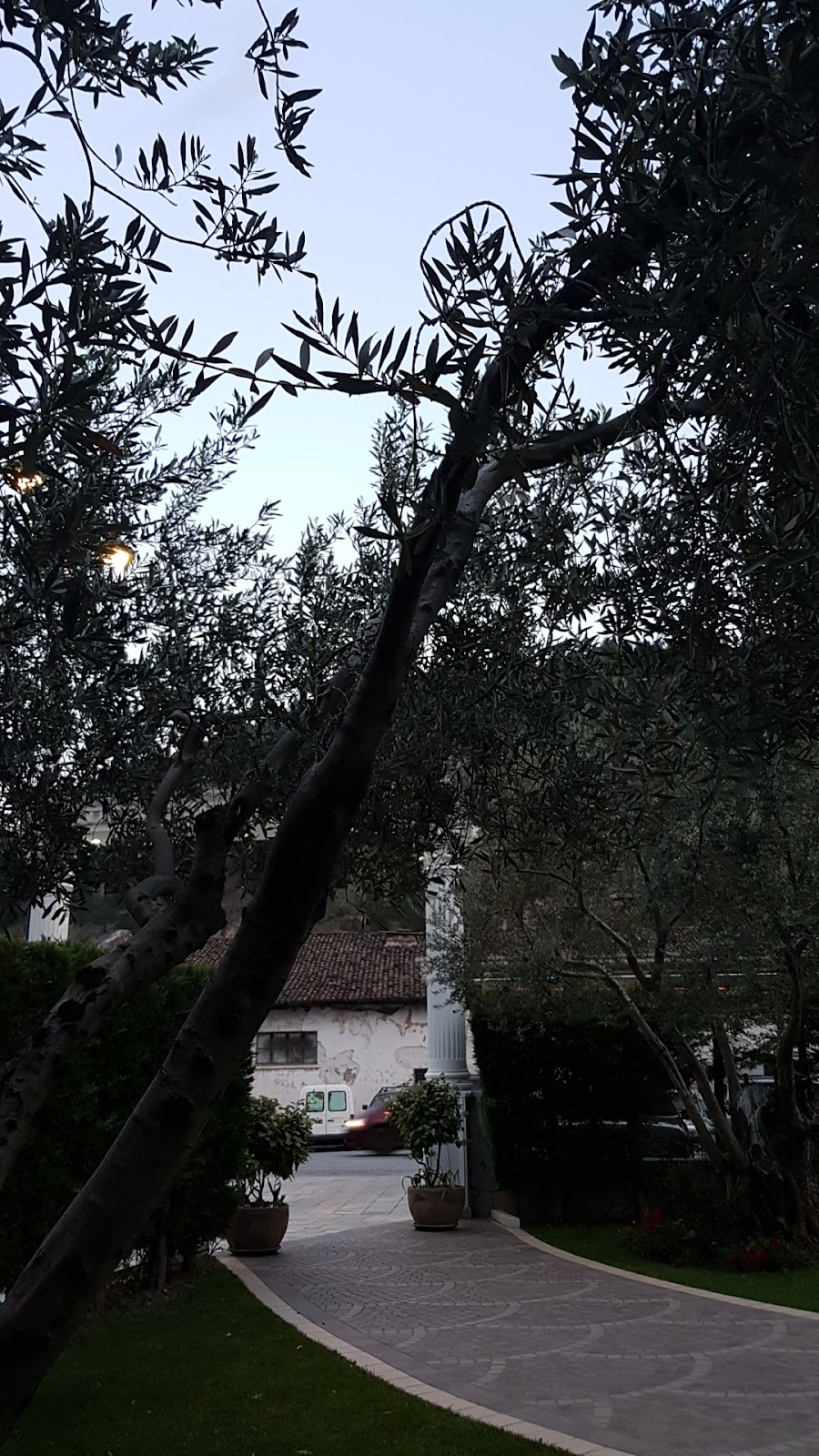 Hotel Mondi photo 5