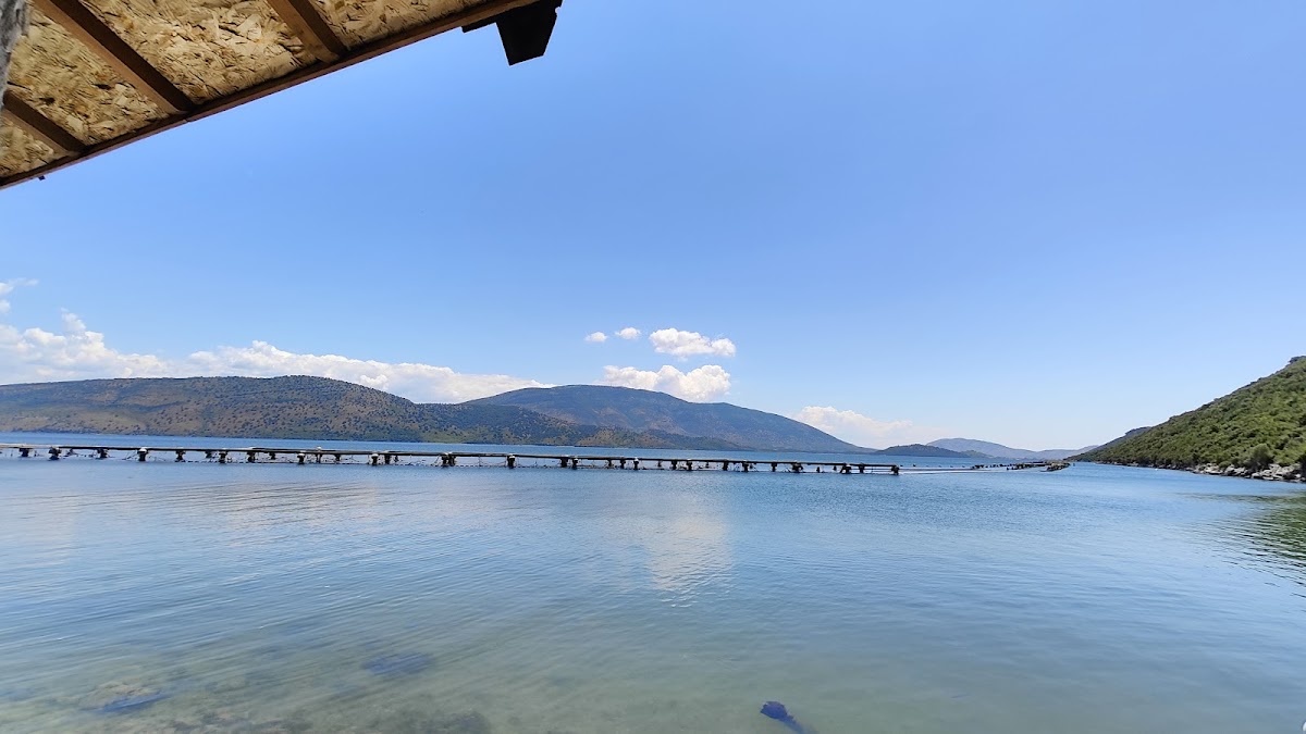 The Mussel House photo 5