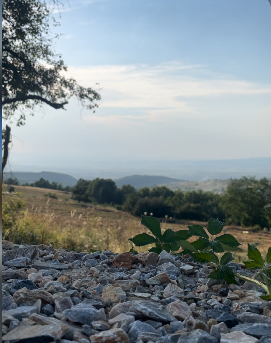 Fshati Kolishtë photo 3