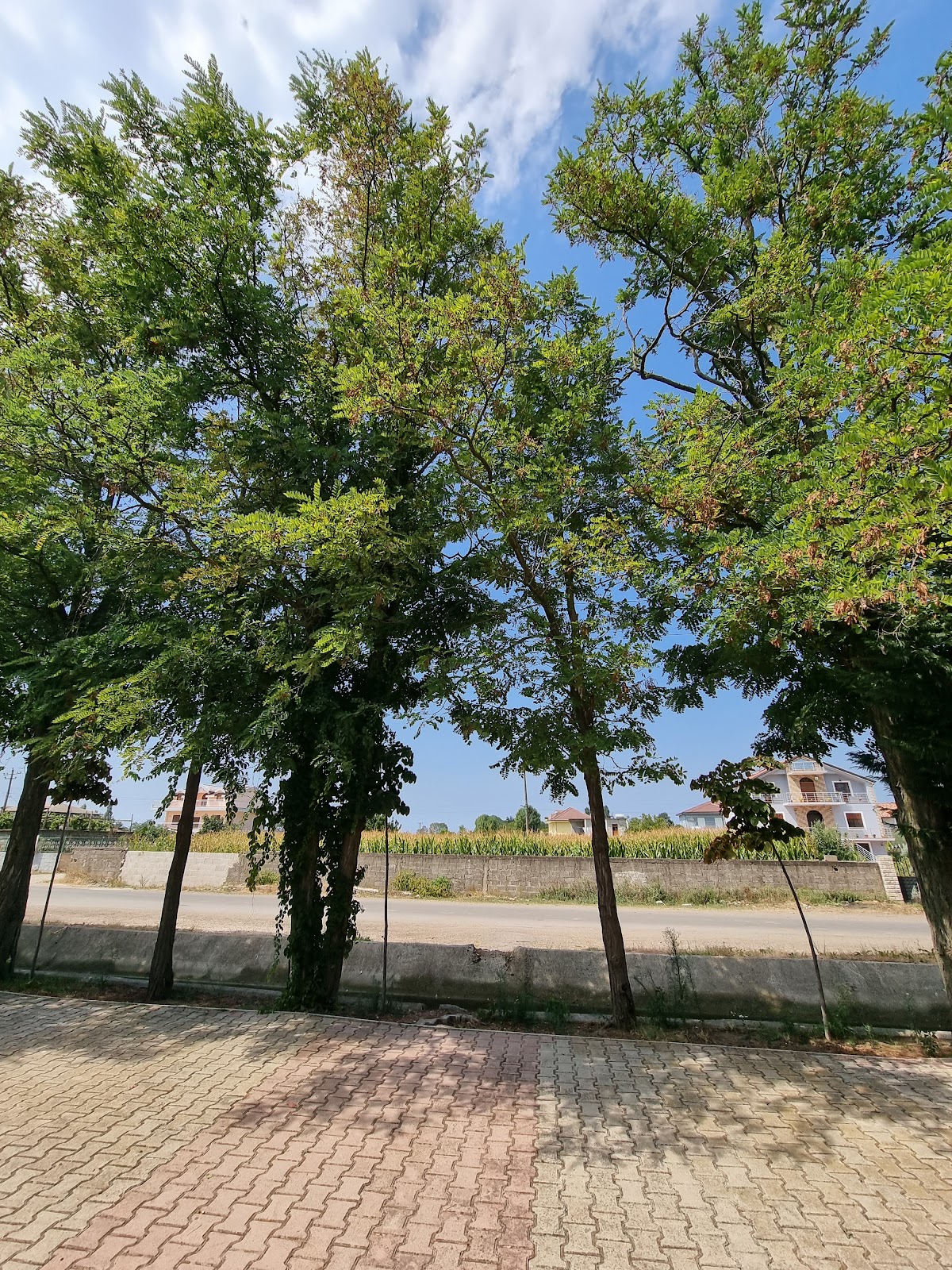 Bar Ivani