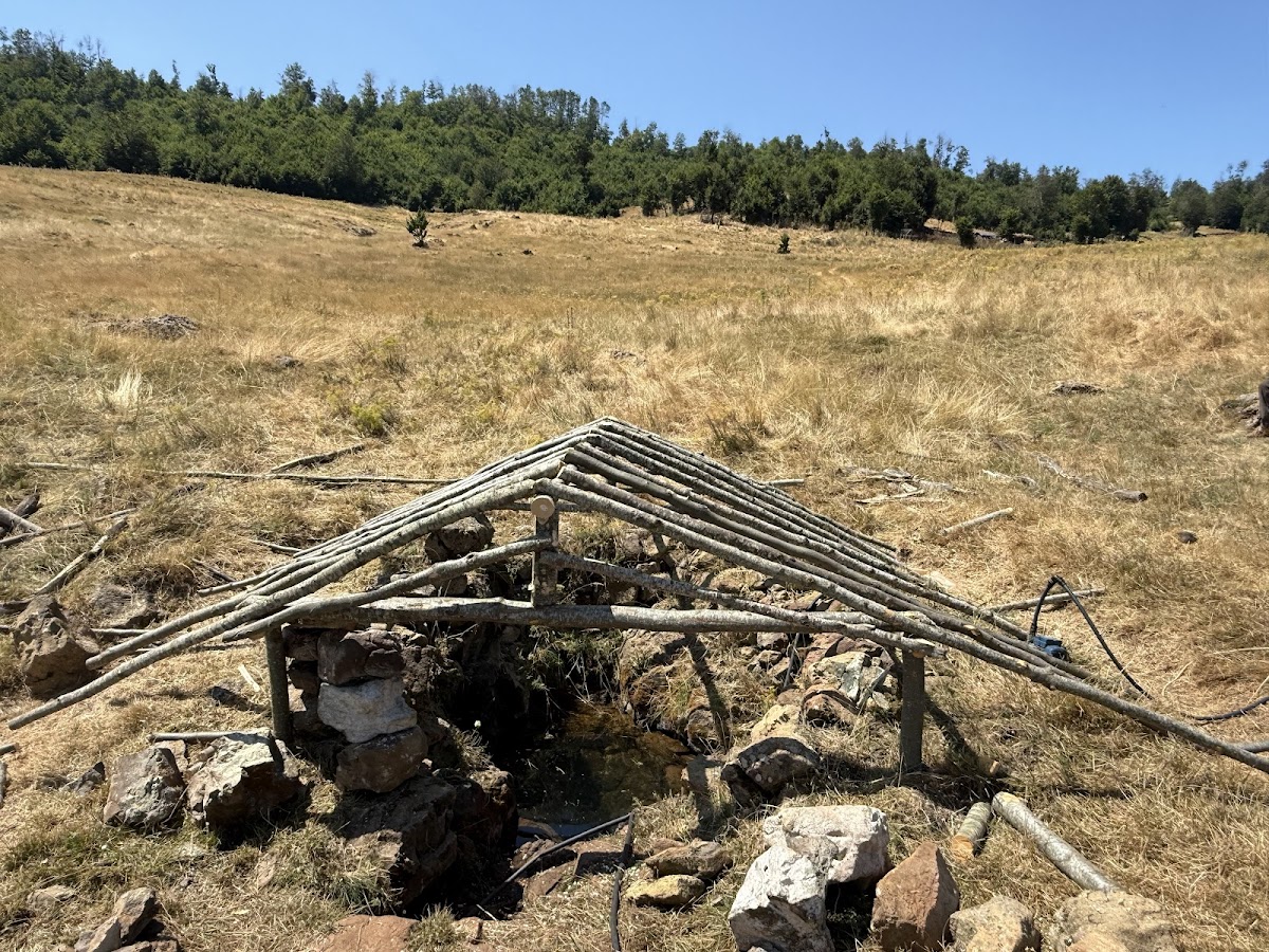 Hurdha blerim Rexhes photo 4