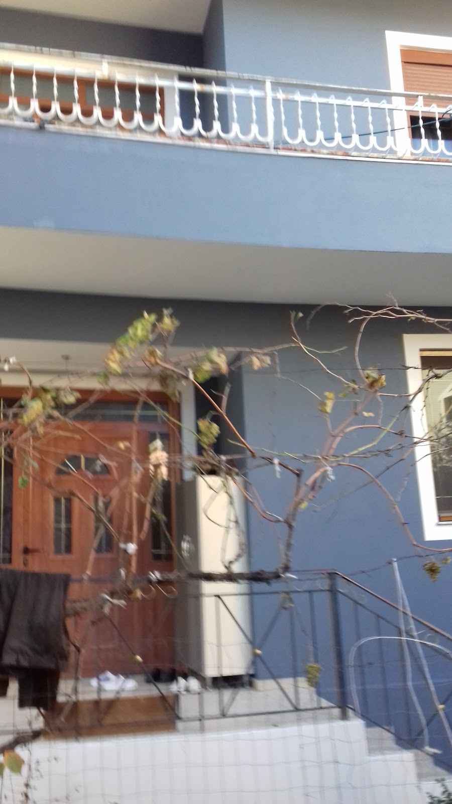 Hotel Mondi photo 4